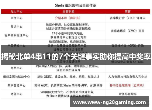 揭秘北单4串11的7个关键事实助你提高中奖率