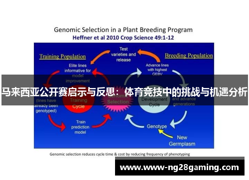 马来西亚公开赛启示与反思：体育竞技中的挑战与机遇分析