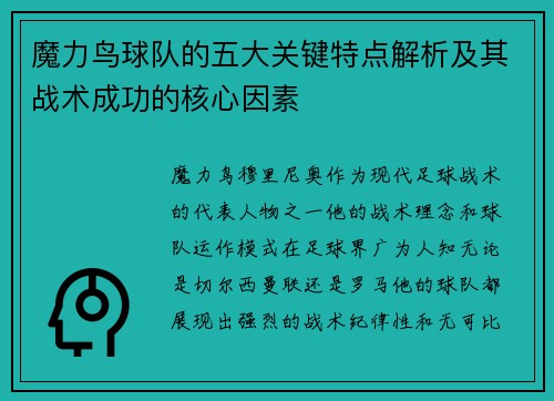魔力鸟球队的五大关键特点解析及其战术成功的核心因素